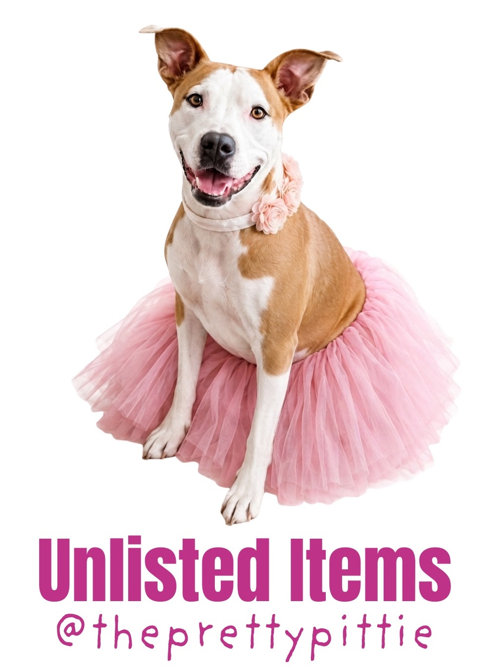 Unlisted Items 100-199 | @theprettypittie